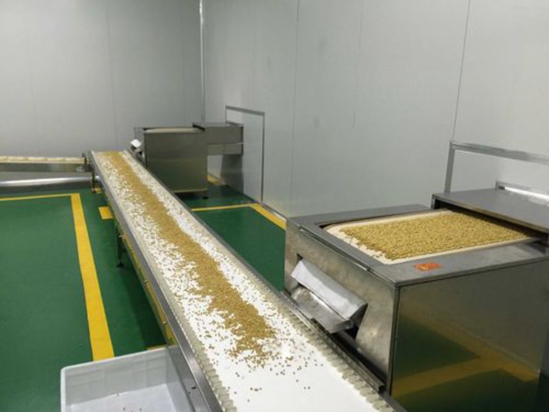 玉米深加工行业新动态:从农田到餐桌的奇妙旅程